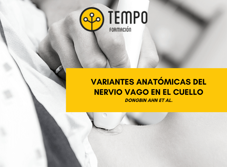variantes-anatomicas-del-nervio-vago-en-el-cuello-ecografia